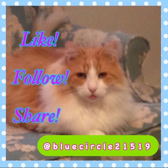 Fluffy’s 5 FG! 😻 🔵 NEW CLOSET NAME 🔵 - Picture 3 of 7